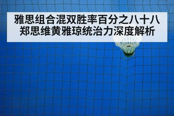 badminton net play